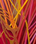 2014, Oil on canvas, 50x40 cm
