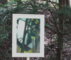 2002, Gouache on paper 70x50cm